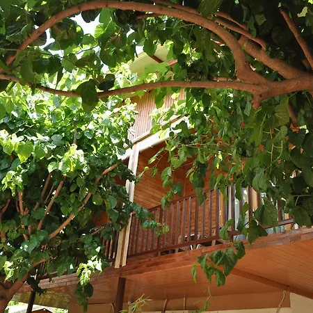 Cesur Pansiyon 3* Çıralı