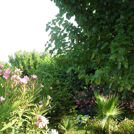 Cesur Pansiyon Otel Çıralı