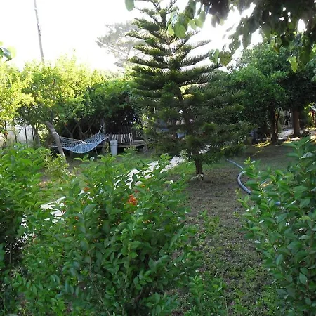 Otel Cesur Pansiyon Çıralı