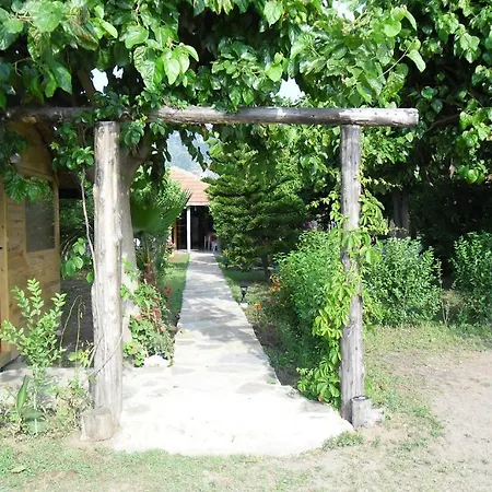 Konukevi Cesur Pansiyon 2*