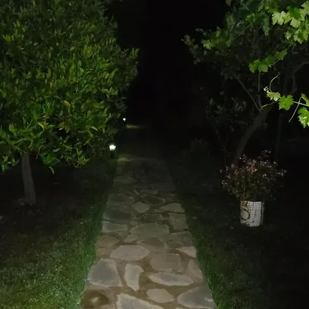 Otel Cesur Pansiyon 3*