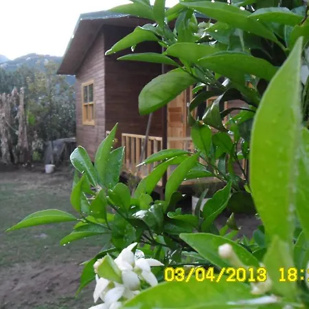 Cesur Pansiyon 3* Çıralı