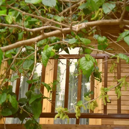 Otel Cesur Pansiyon Çıralı