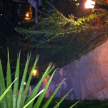 Cesur Pansiyon Hotel 3*