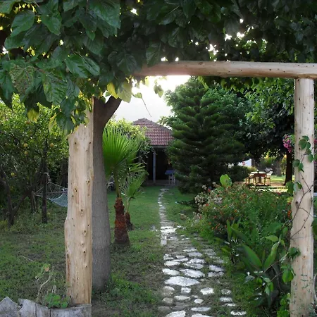 Hotel Cesur Pansiyon