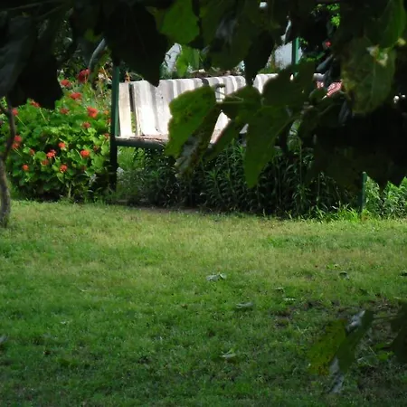 Cesur Pansiyon 3* Çıralı