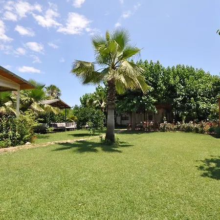 Hotel Cesur Pansiyon 3*