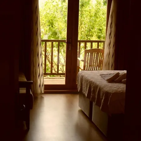 Hotel Cesur Pansiyon 3*