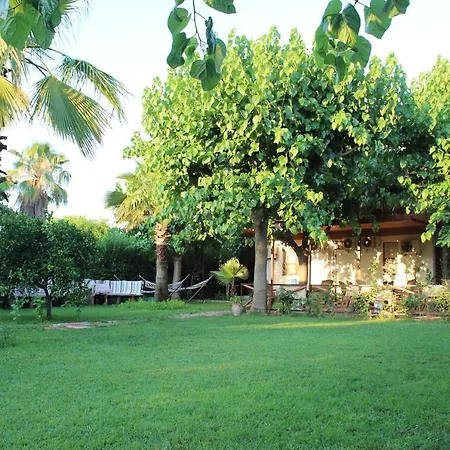 Cesur Pansiyon Hotel 3*