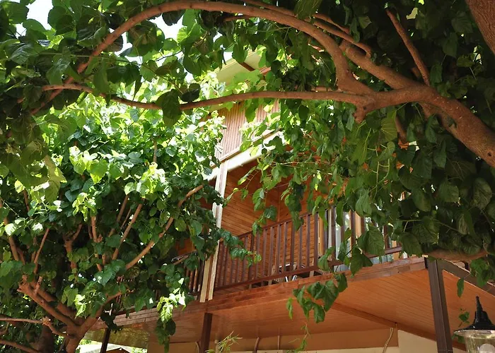 Cesur Pansiyon 3* Çıralı