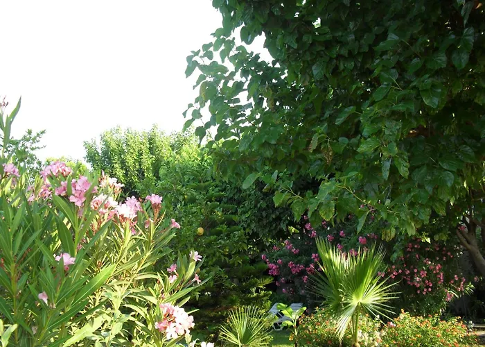 Cesur Pansiyon Szálloda Çıralı