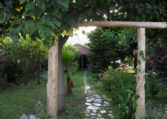 Szálloda Cesur Pansiyon