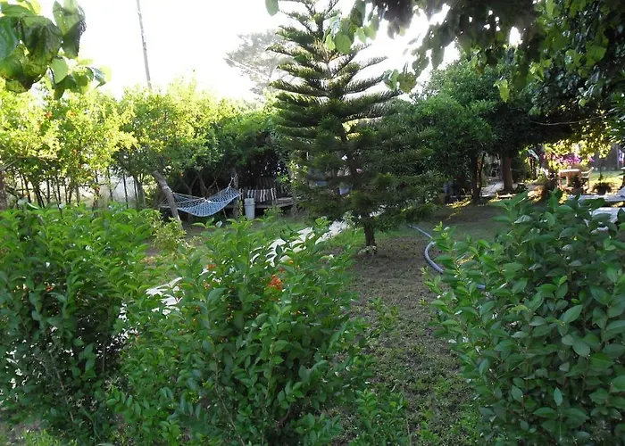 Szálloda Cesur Pansiyon Çıralı