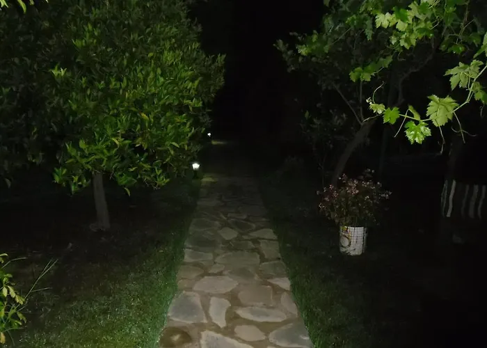 Szálloda Cesur Pansiyon 3*