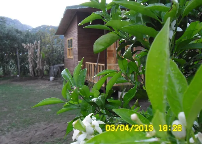 Cesur Pansiyon 3* Çıralı