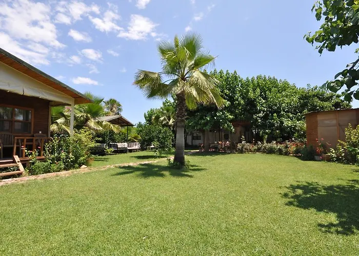 Szálloda Cesur Pansiyon 3*