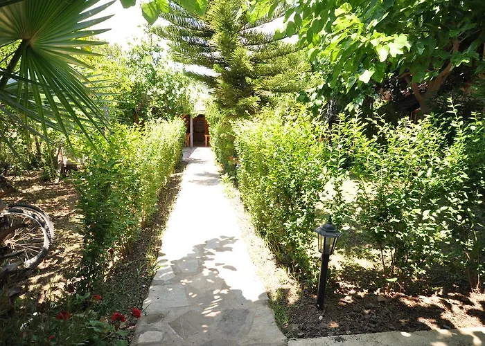 Szálloda Cesur Pansiyon