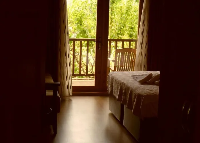 Szálloda Cesur Pansiyon 3*