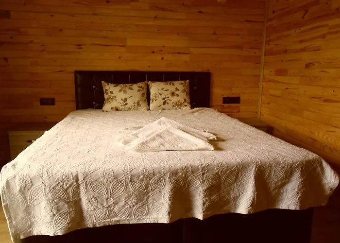 Szálloda Cesur Pansiyon 3*