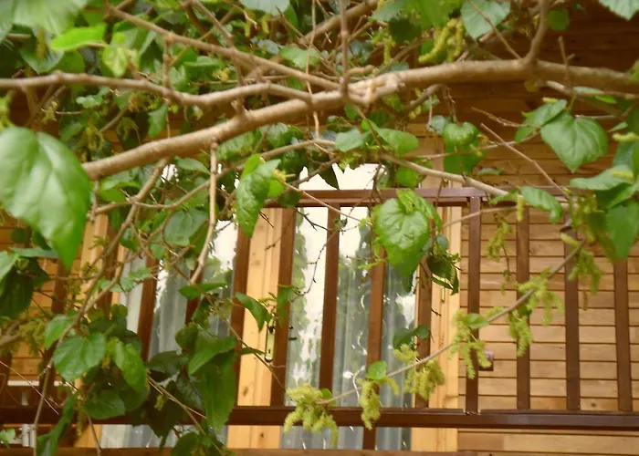 Szálloda Cesur Pansiyon Çıralı