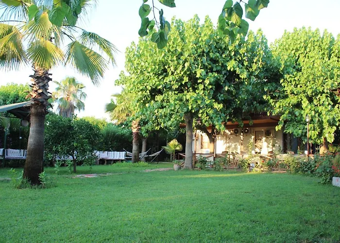 Cesur Pansiyon Szálloda 3*