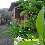 Cesur Pansiyon 3* Cirali