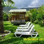 Cesur Pansiyon 3*