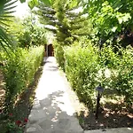 Hotel Cesur Pansiyon