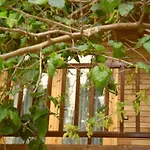 Hotel Cesur Pansiyon Cirali